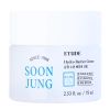 Etude House - Захисний крем для обличчя - Soon Jung Hydro Barrier Cream - 75ml