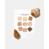 Unleashia - Glitterpedia Eye Palette - Палетка веганських тіней для повік - 2 All of Brown - 6,6g