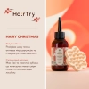 HairTry - Набор «Hairy Christmas»