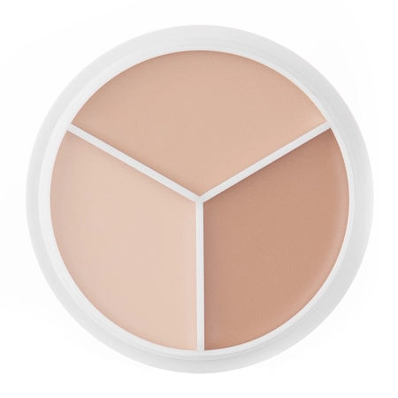 TFIT - Cover Up Pro Concealer Palette - Палетка консилеров для лица - Neutral - 10g