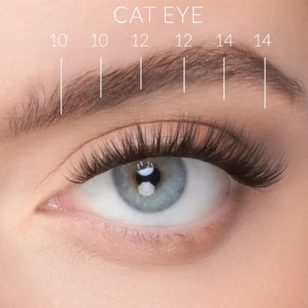 Nanolash - Stick & Go Pre-Glued Lashes - Пучковые ресницы на самоклеящейся основе - Harmony - 1 упаковка