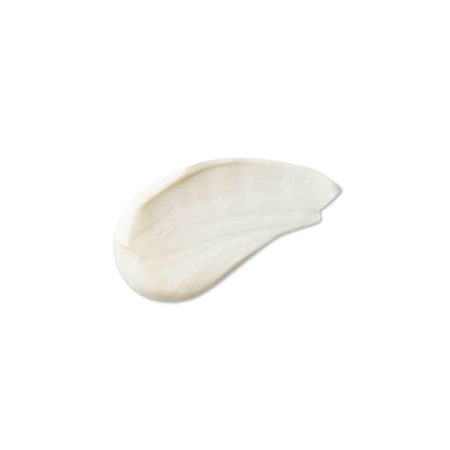 Evolve Organic Beauty - Daily Renew Natural Face Cream - Поживний крем для обличчя - 30ml